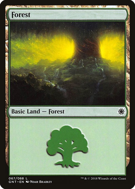 Forest (GNT) (#67)