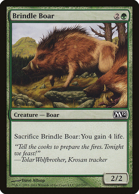 Brindle Boar (M12) (#167)