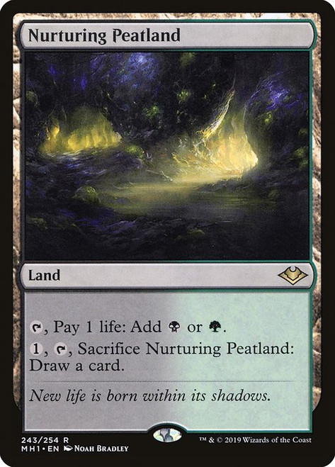 Nurturing Peatland (MH1) (#243)