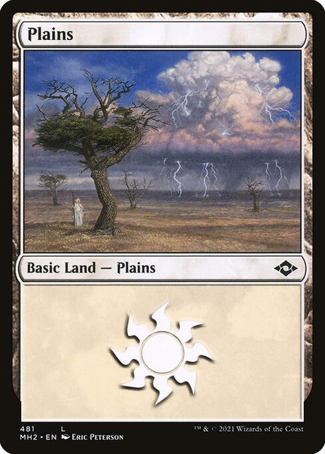 Plains (MH2) (FoilEtched) (#481)