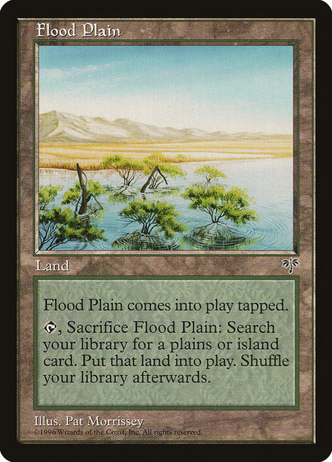 Flood Plain (MIR) (#326)