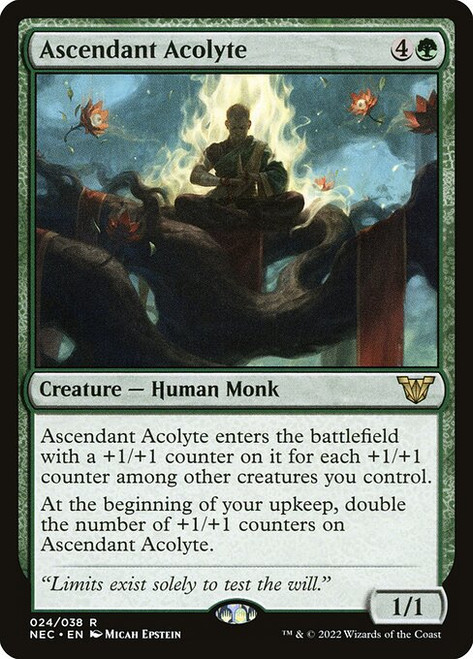 Ascendant Acolyte (NEC) (#24)