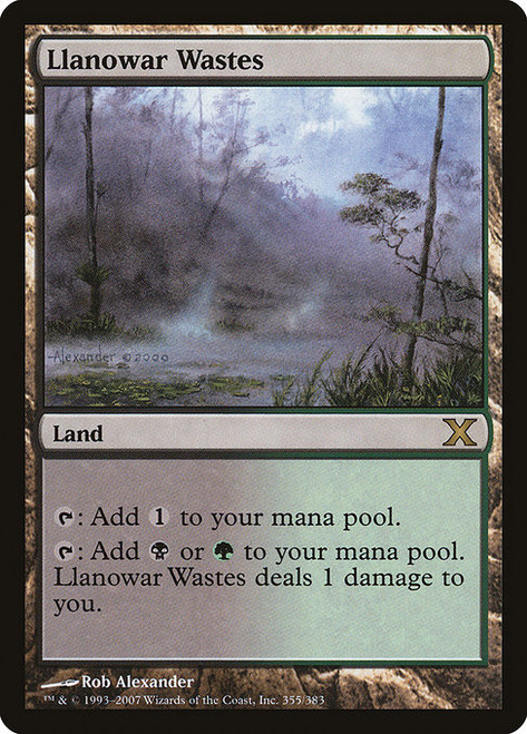 Llanowar Wastes (10E) (#355)