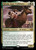 Selvala, Eager Trailblazer (OTJ) (Foil) (#231)