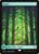 Forest (P23) (Foil) (Full Art) (#10)