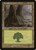 Forest (PAL03) (#5)