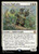 Warren Warleader (PBLB) (Foil) (#38p)