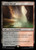 Canyon Slough (PIP) (Foil) (#256)