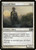 Sentinel Sliver (PLST) (#M14-30)