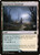 Overgrown Farmland (PMID) (Foil) (#265p)