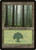 Forest (POR) (#214)