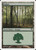 Forest (PSAL) (#B10)