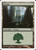Forest (PSAL) (#K23)