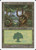 Forest (S99) (#170)