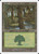 Forest (S99) (#171)