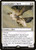 Cartographer's Hawk (SCD) (#10)