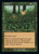 Kudzu (30A) (#497)