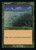 Lifelace (30A) (#500)