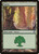 Forest (SOM) (#249)