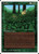 Kudzu (SUM) (#205)