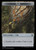 Clue (TBLC) (Foil) (#37)