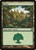 Forest (THS) (Foil) (#246)