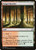 Fungal Reaches (TSR) (#279)