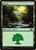 Forest (UND) (#95)