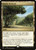 Exotic Orchard (VOC) (#173)
