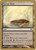 Barren Moor (WC03) (#pk312)