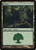 Forest (ZEN) (#247a)