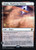 Adagia, Windswept Bastion (PEOE) (Foil) (#250s)