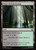 Foggy Bottom Swamp (TLA) (Foil) (#269)