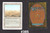 Scrubland (#385)