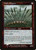 Wall of Spears (7ED) (Foil) (#323★)