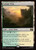 Canopy Vista (MSC) (SurgeFoil) (#227)