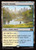 Prairie Stream (MSC) (#257)