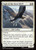 Eagle of the Great Shelf (HOB) (#11)