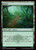 Forest (HOB) (#193)