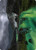 Path to the World Tree // Path to the World Tree (AKHM) (Foil) (Borderless) (#50)