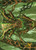 Colossal Dreadmask // Colossal Dreadmask (AMH3) (Foil) (Borderless) (#8)