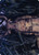 Fleshtaker // Fleshtaker (AMID) (Borderless) (#61)