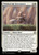 Whiskervale Forerunner (BLB) (#40)