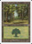 Forest (BRB) (#107)