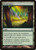 Vivid Grove (C13) (#335)