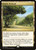 Exotic Orchard (C19) (#242)