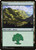 Forest (C19) (#300)