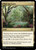 Thriving Grove (CMM) (Foil) (#430)