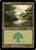 Forest (CMM) (#450)