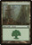 Forest (DDD) (#29)